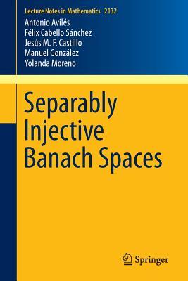 预订 高被引Separably Injective Banach Spaces