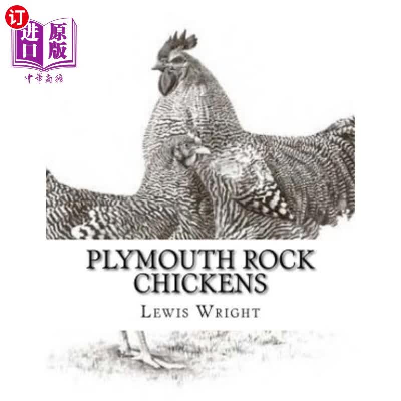 plymouth rock chickens: from the book of poultry 普利茅斯岩鸡