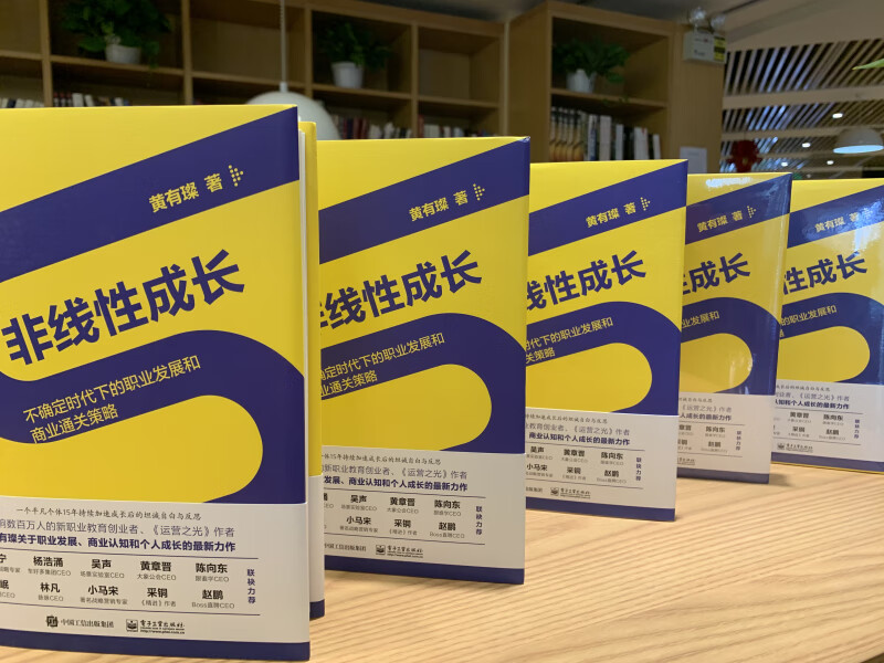 非线性成长——不确定时代下的职业发展和商业通关策略（精装版）详情图