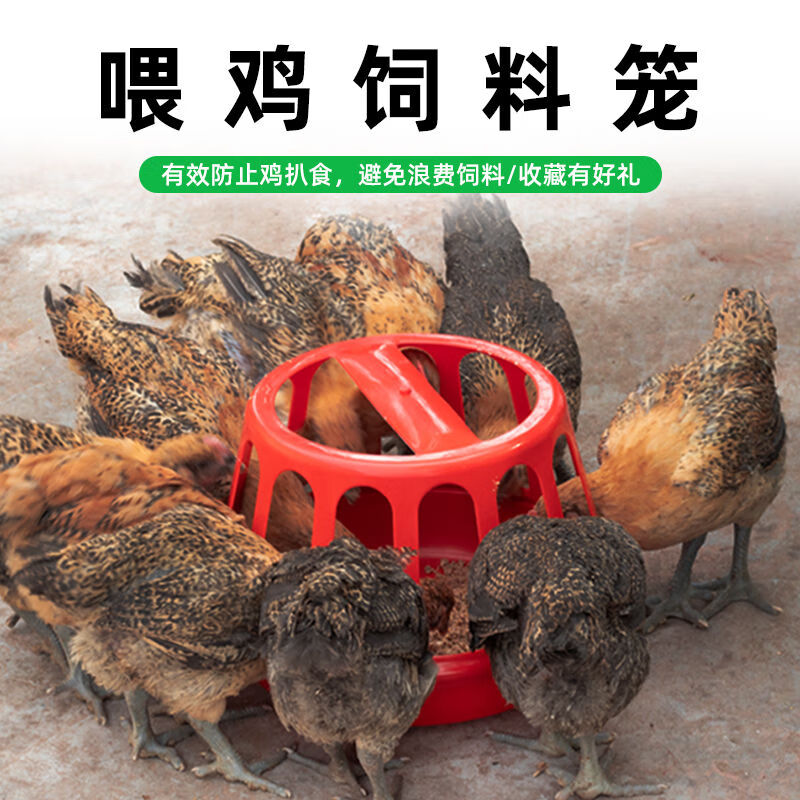 顾欢喂鸡食槽 养鸡神器鸡笼喂食器养殖设备饲料桶自动饮水器喂鸡盆家