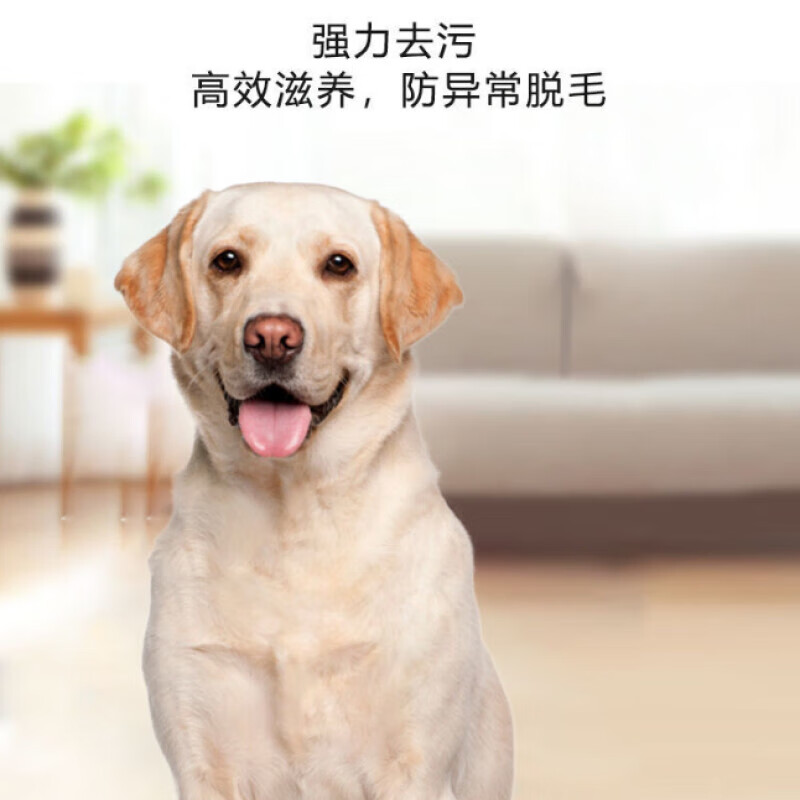 乖宠（Guaichong）拉布拉多狗狗沐浴露杀菌除臭杀螨止痒香波沐浴液宠物洗澡用品 拉布拉多沐浴露+护毛素