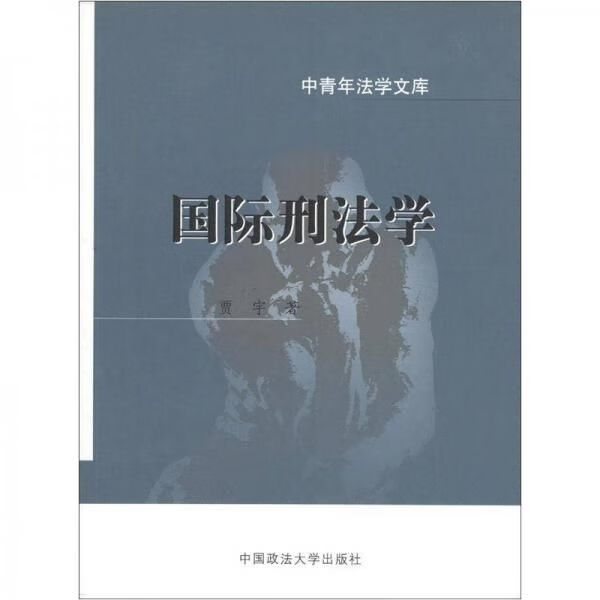国际刑法学/中青年法学文库
