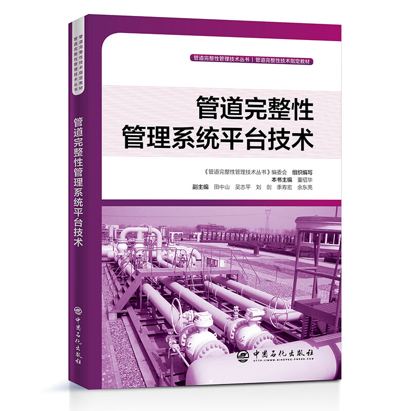 管道完整性管理系统平台技术 管道完整性管理技术丛书