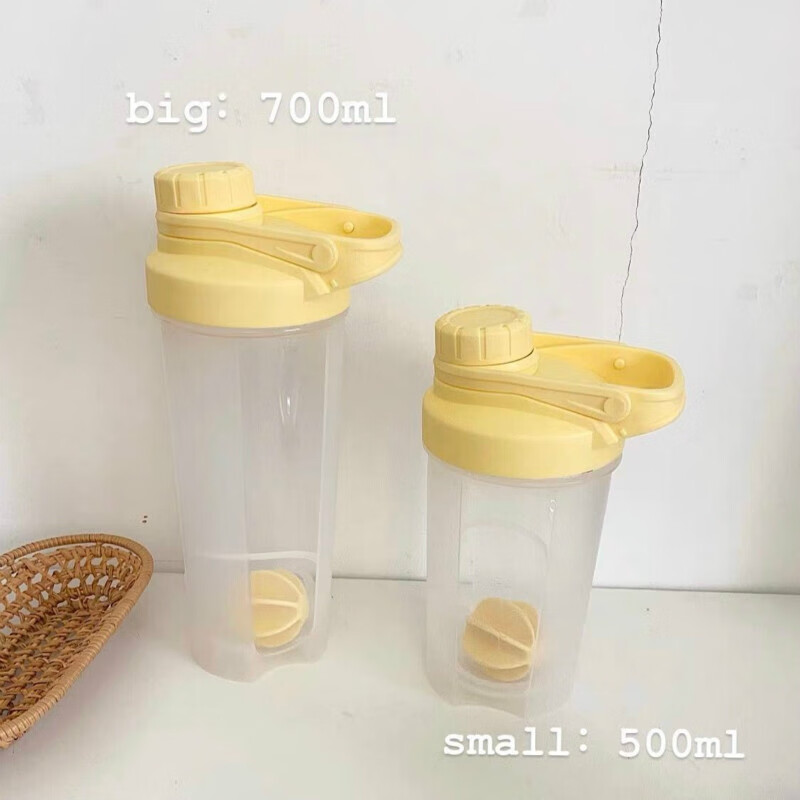 盛芯华【轻奢】摇摇乐随手杯大容量温柔色少女心塑水杯便携简约运动