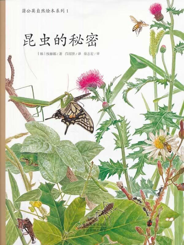 蒲公英自然绘本系列:昆虫的秘密 权赫都【正版书】