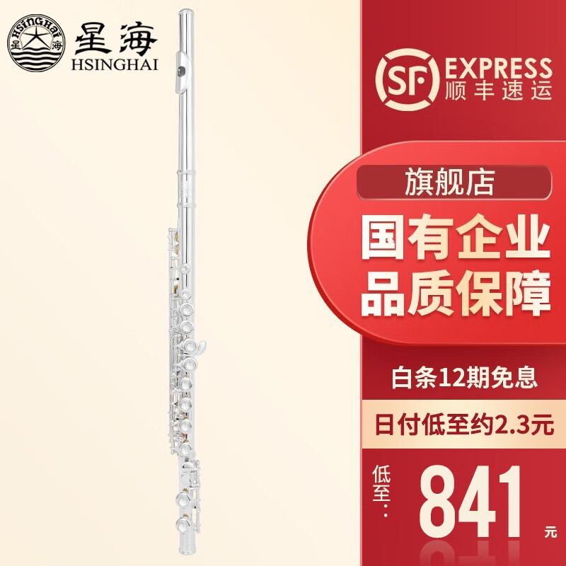 星海长笛镀银C调16键闭孔曲列E键长笛子专业院校考级长笛乐器 初学款-YH-121（教材+全套赠品）