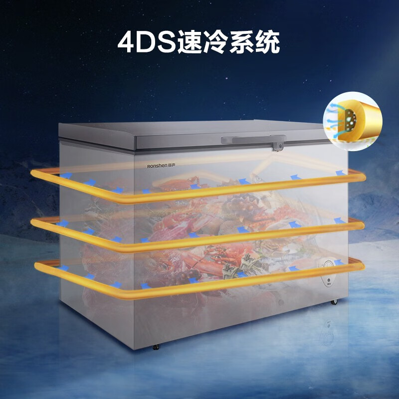 容声（Ronshen） 306升大容量冷藏冷冻转换单温冷柜 一级能效 厨房卧式冰柜冰箱BD/BC-306MSA