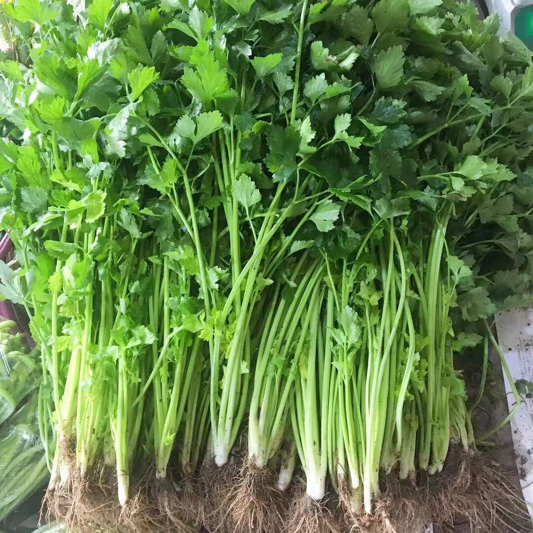 湖北农家本地新鲜芹菜 小香芹 土芹菜 现挖水芹菜非西芹1-3斤 4斤特惠