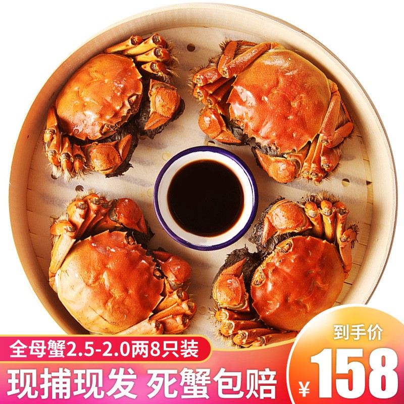 【活蟹】蟹王世家现货大闸蟹全母蟹2.0-2.3两8只装鲜活螃