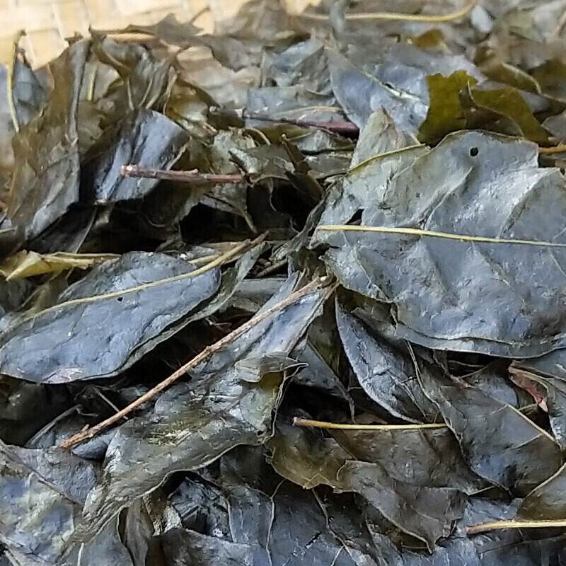 贵州特产苦丁茶 遵义苦茶大叶小叶500g