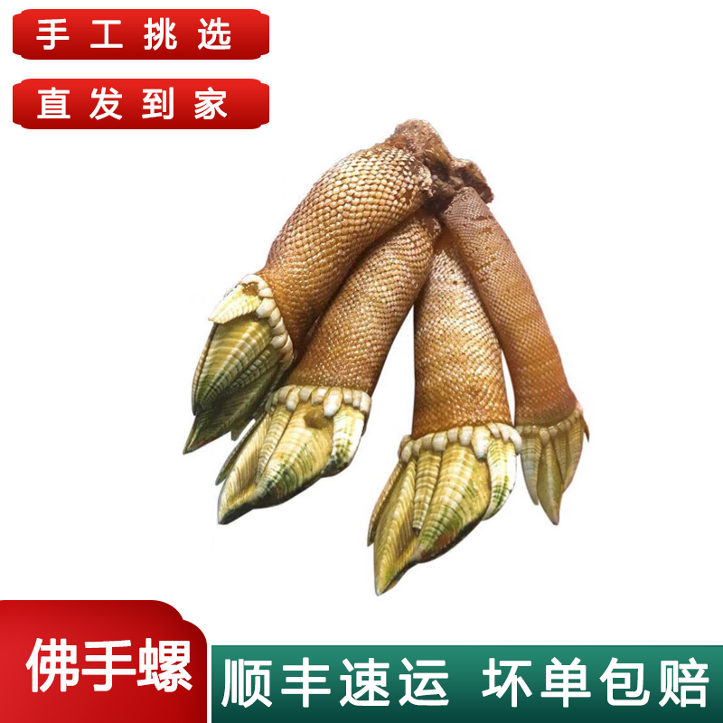 流连湾  佛手螺 鹅颈藤壶  鲜活狗爪螺笔架鲍螺 1斤尝尝鲜 小号(每斤