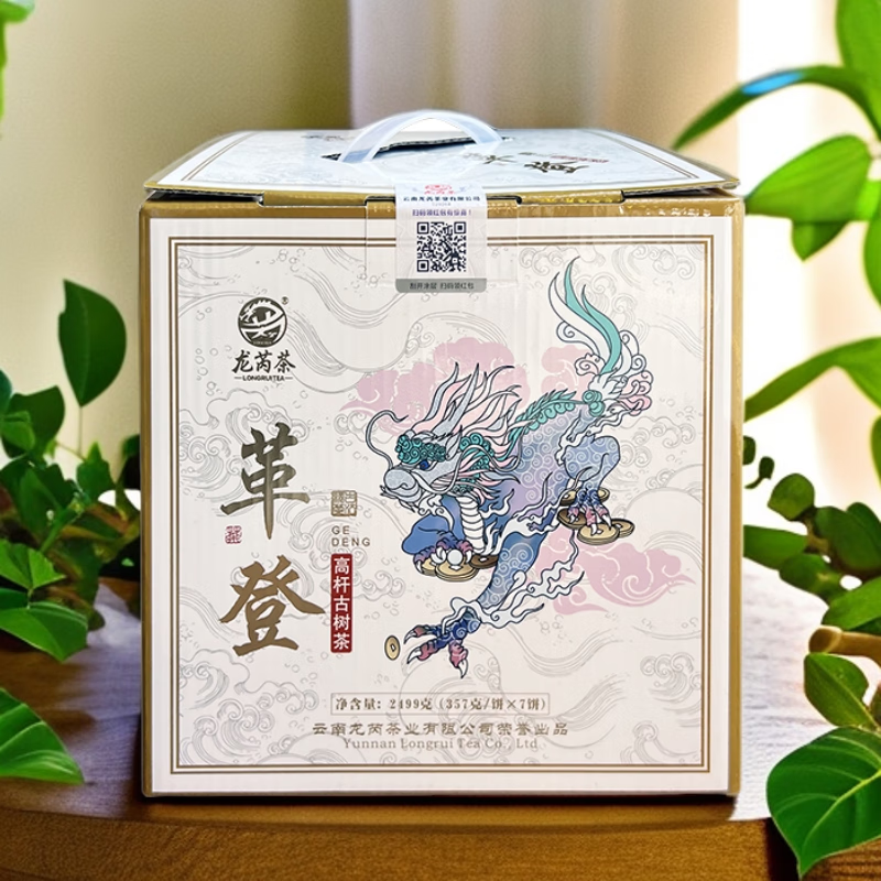 龙芮茶2021年革登乔木古树茶 花果香 明黄透亮 七子饼普洱生茶 一提7