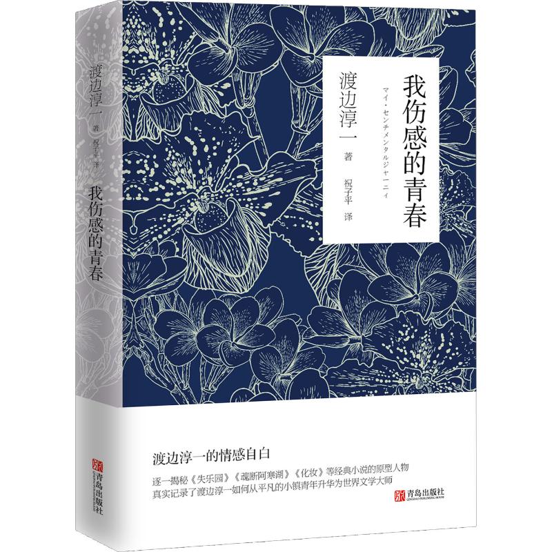 我伤感的青春【正版图书】