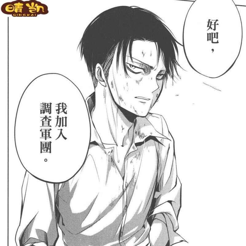 漫画墙纸二次元墙纸打印自拍照背景宿舍卧室 进击的巨人 a4尺寸(40张)