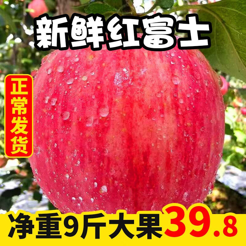 【脆甜可口】正宗陕西新鲜红富士苹果套袋膜袋中大果 带箱10斤装 新鲜水果生鲜 带箱10斤大果（约18-20个）