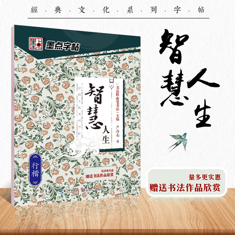 墨点字帖荆霄鹏行楷字帖男女生字体漂亮硬笔书法字帖钢笔字帖行楷高中生大学生成年练字大开本智慧人生字帖行楷临摹练字帖