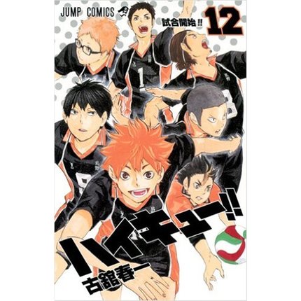 ハイキュー!! 12