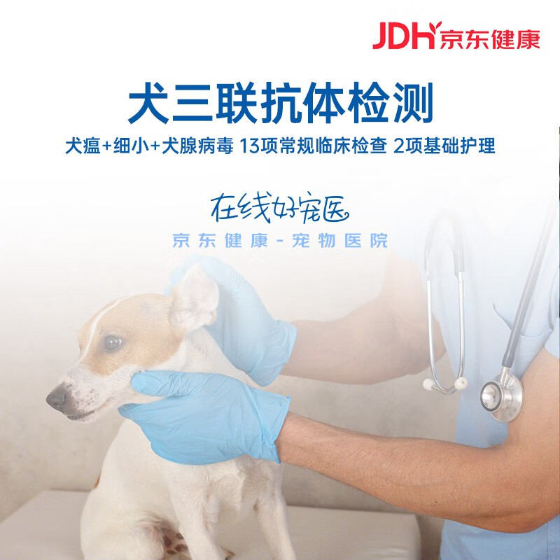 犬三联抗体检测 犬瘟 细小 犬腺病毒 13项常规临床检查 2项基础护理