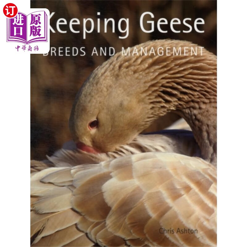 海外直订keeping geese 保持鹅