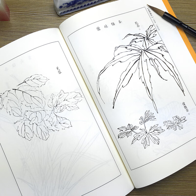 草虫花卉谱(白话文版)/芥子园画谱