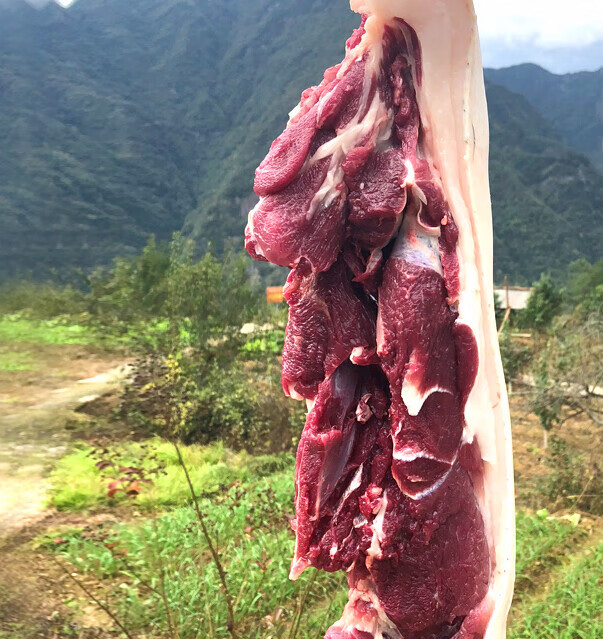 苏墨四川深山散养黑猪肉黑毛猪肉4斤装 跑山土猪新鲜土猪肉