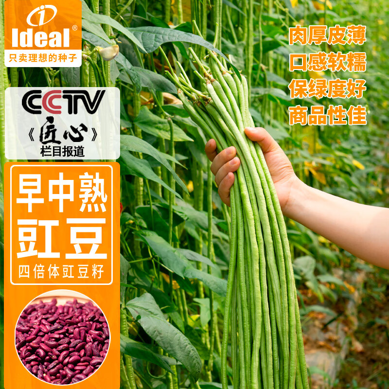 IDEAL理想农业 豇豆种子豆角缸豆蔬菜菜籽长豆角糯米豇种籽20g*1袋