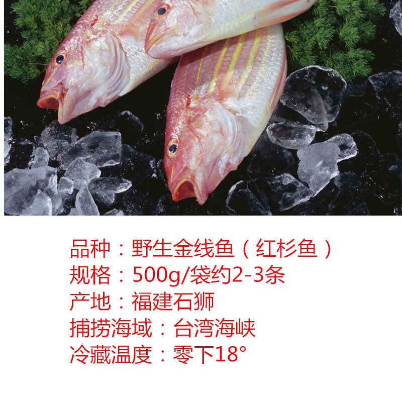 顺丰海鲜大金丝鱼新鲜金线鱼深海捕捞红衫鱼香头鱼生鲜海水鱼 【大金