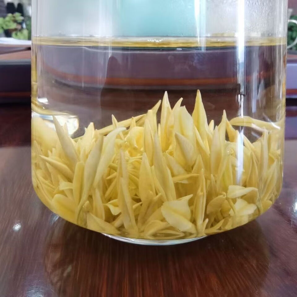 金泰杯(j) 高品质奶白茶奶白黄金芽茶叶2022奶香安味吉新黄茶黄金奶白