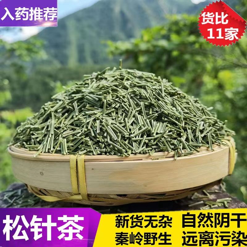 【药房直售】松针茶特级长白山松针叶马尾松针松树叶泡水喝 【当季新