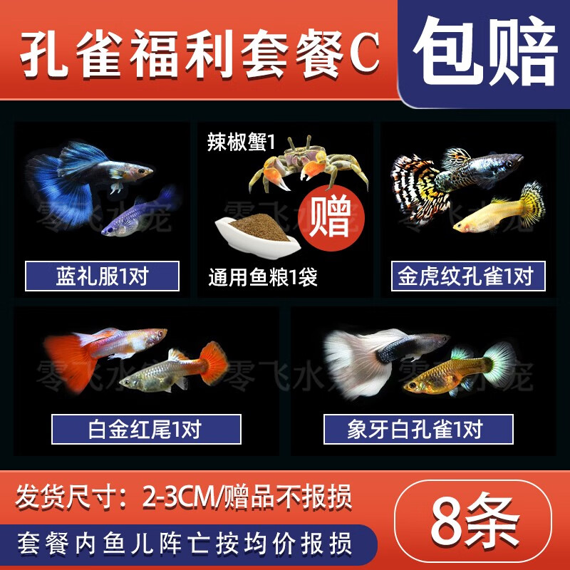 看水族活体历史价格网站|水族活体价格走势图