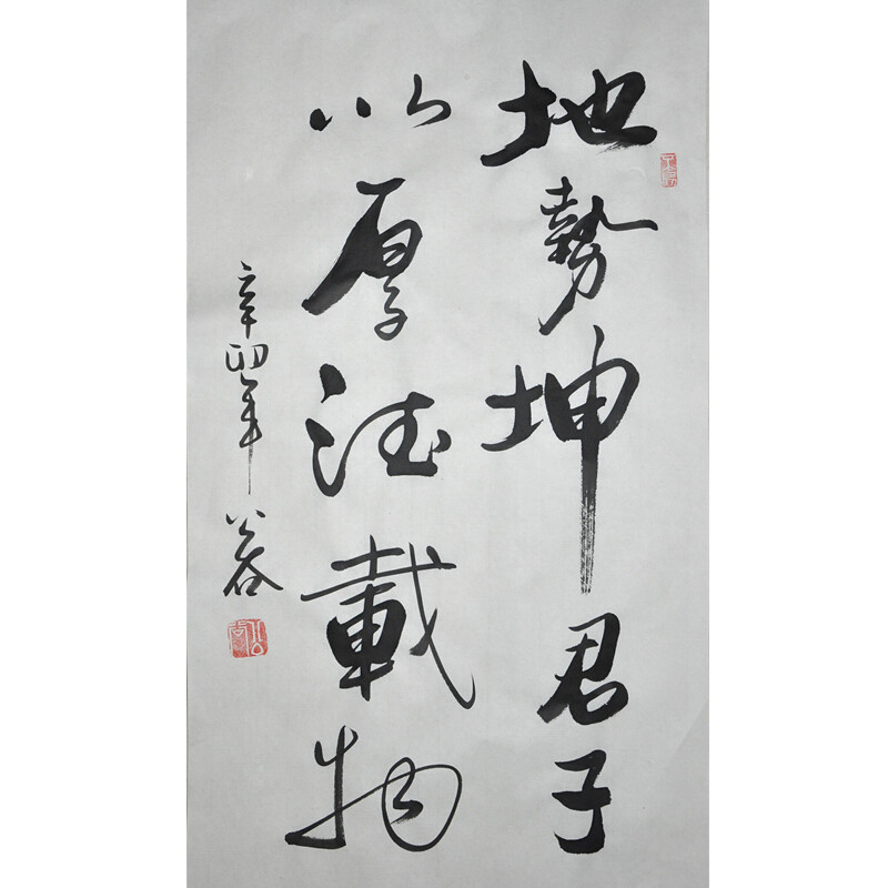 浩賢堂 字画浩贤堂《地势坤君子以厚德载物》书法行书条幅作品装饰礼品 40*70cm 未装裱 公谷手写真迹