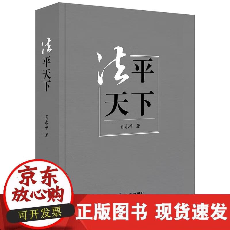 【正版现货】法平天下