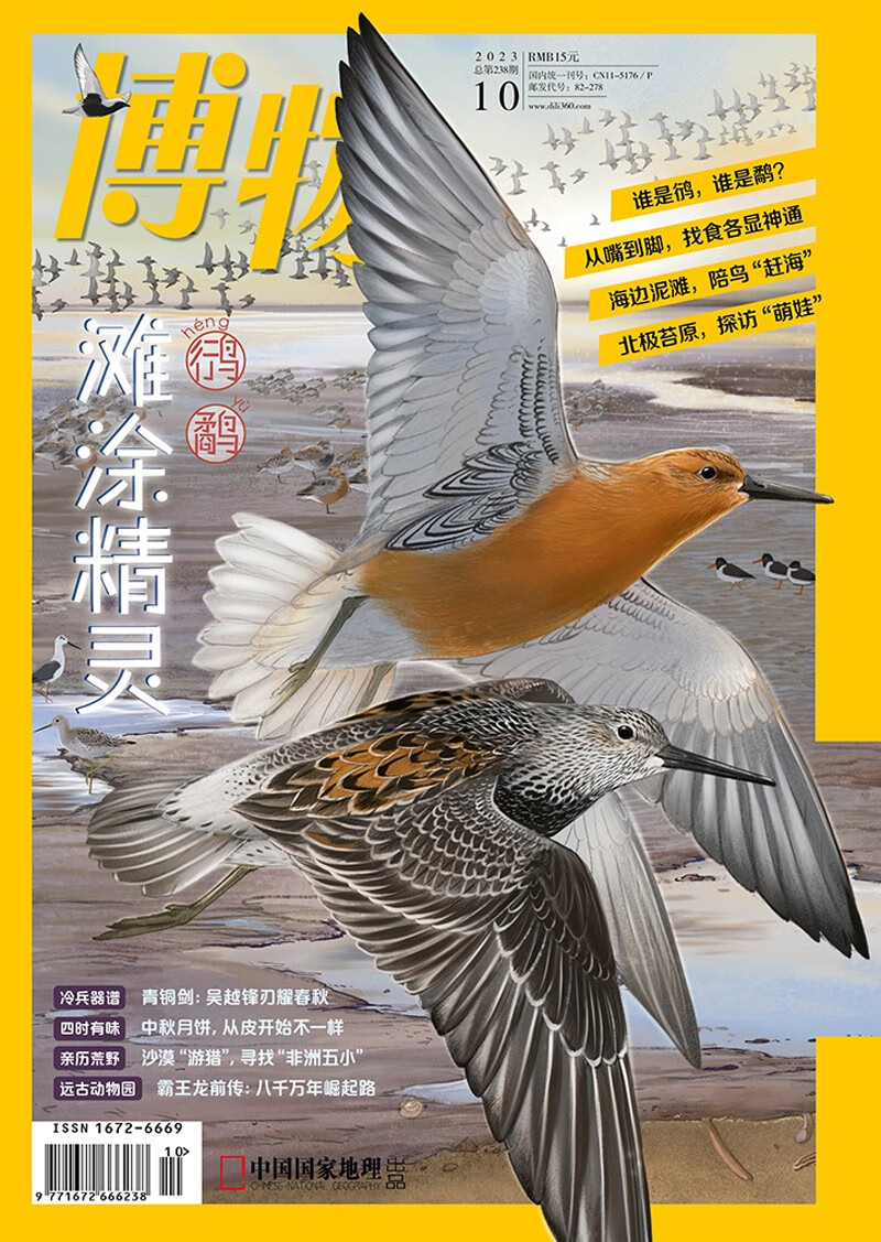 博物 2023年10月号 本期主题【鸻鹬专题】 中国国家地理青春少年版 博物君式科普百科期刊