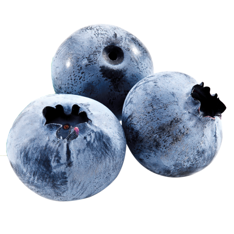 喵鲜君国产蓝莓 高山大蓝莓当季孕妇宝宝时令 爆浆新鲜水果 中