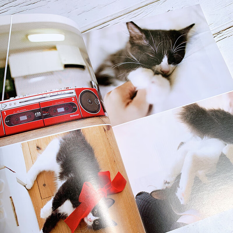 猫科专家教你养猫(新猫养护指南)