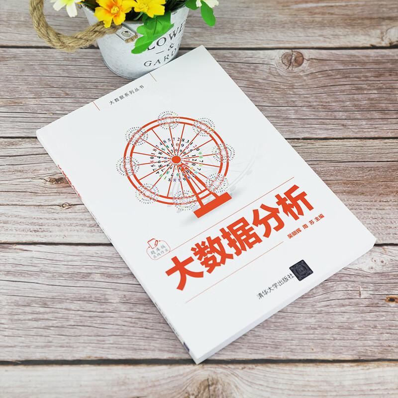 大数据分析详情图