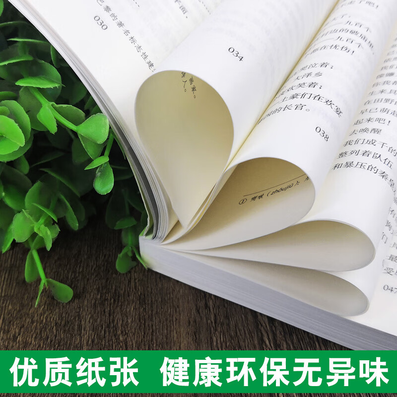 人民教育出版社艾青诗选水浒传原著正版九年级上册无删减人教版初三语文课外阅读丛书青少年读物书籍 人教版水浒传