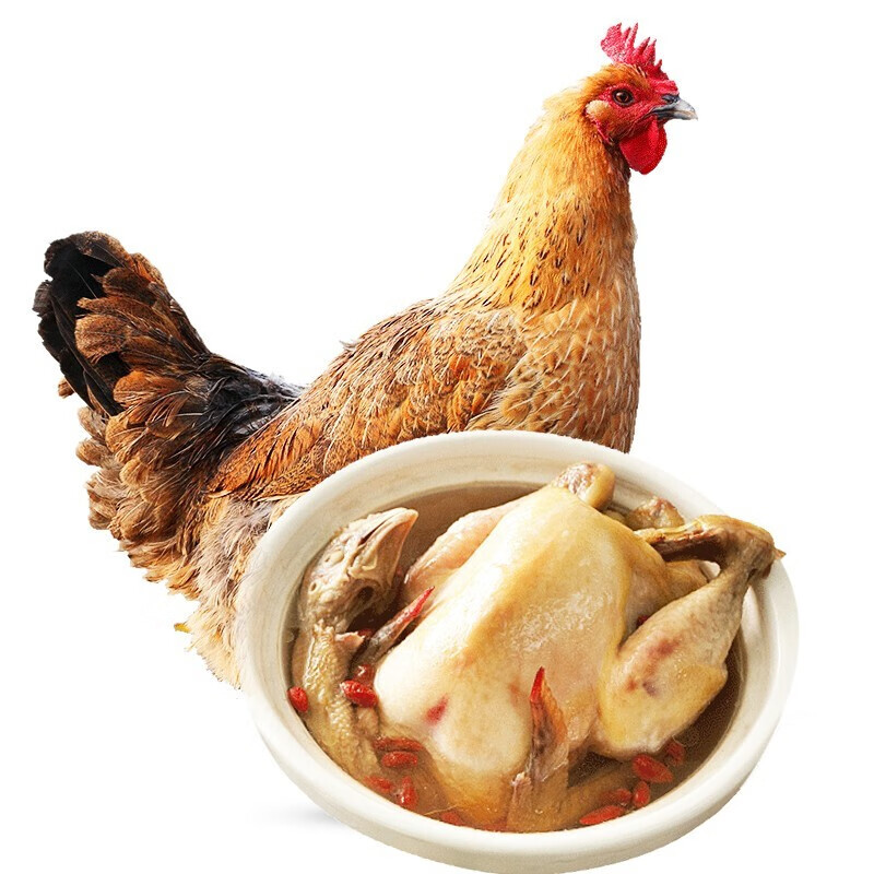 对面小城【三黄鸡4只装】散养土鸡童子鸡新鲜鸡肉整只装700g/只 京东折扣/优惠券