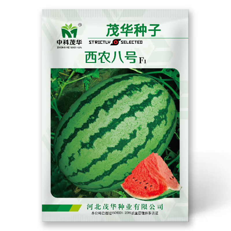 strictly selected中科茂华西瓜种子正宗西农八号懒汉大果抗病大西瓜