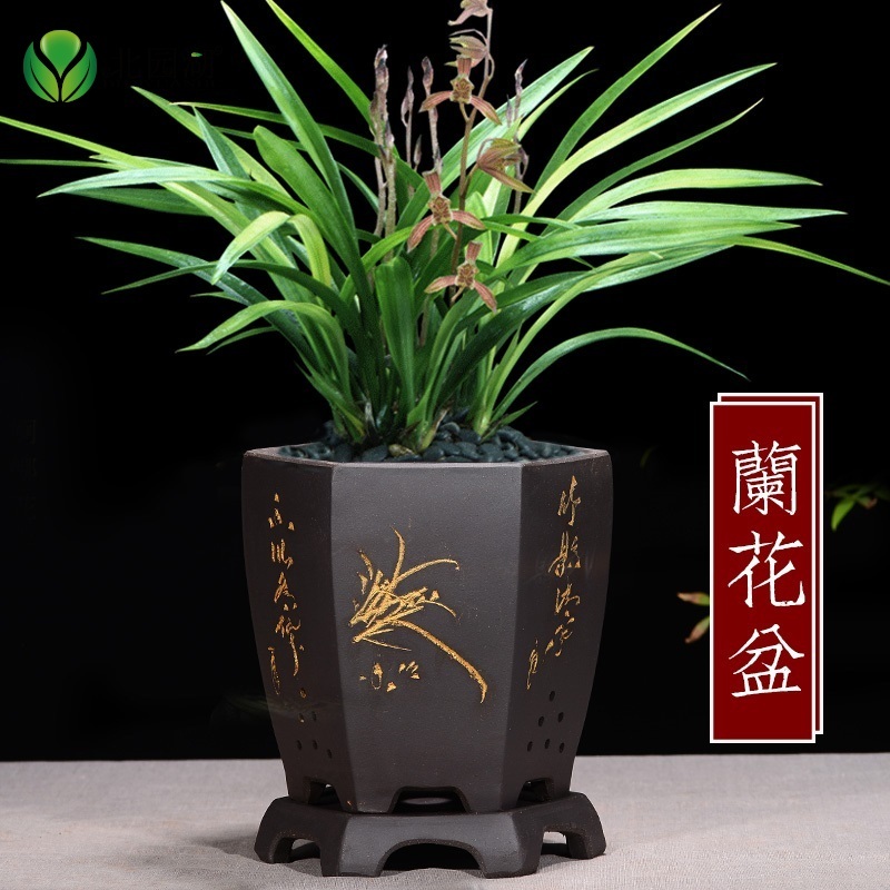 查看花盆花器历史价格的App|花盆花器价格走势