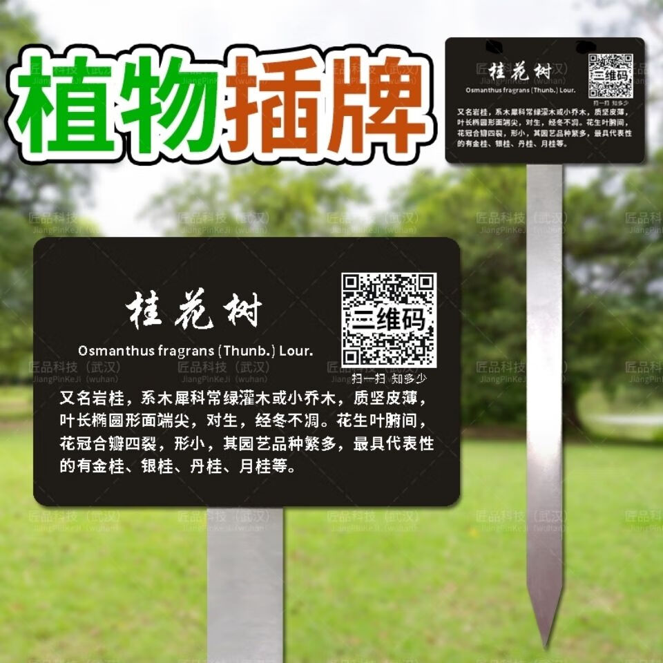 圣科莱凝翔浅卡梵硕树牌定制铝制不锈钢树木介绍牌花草提示植物认养