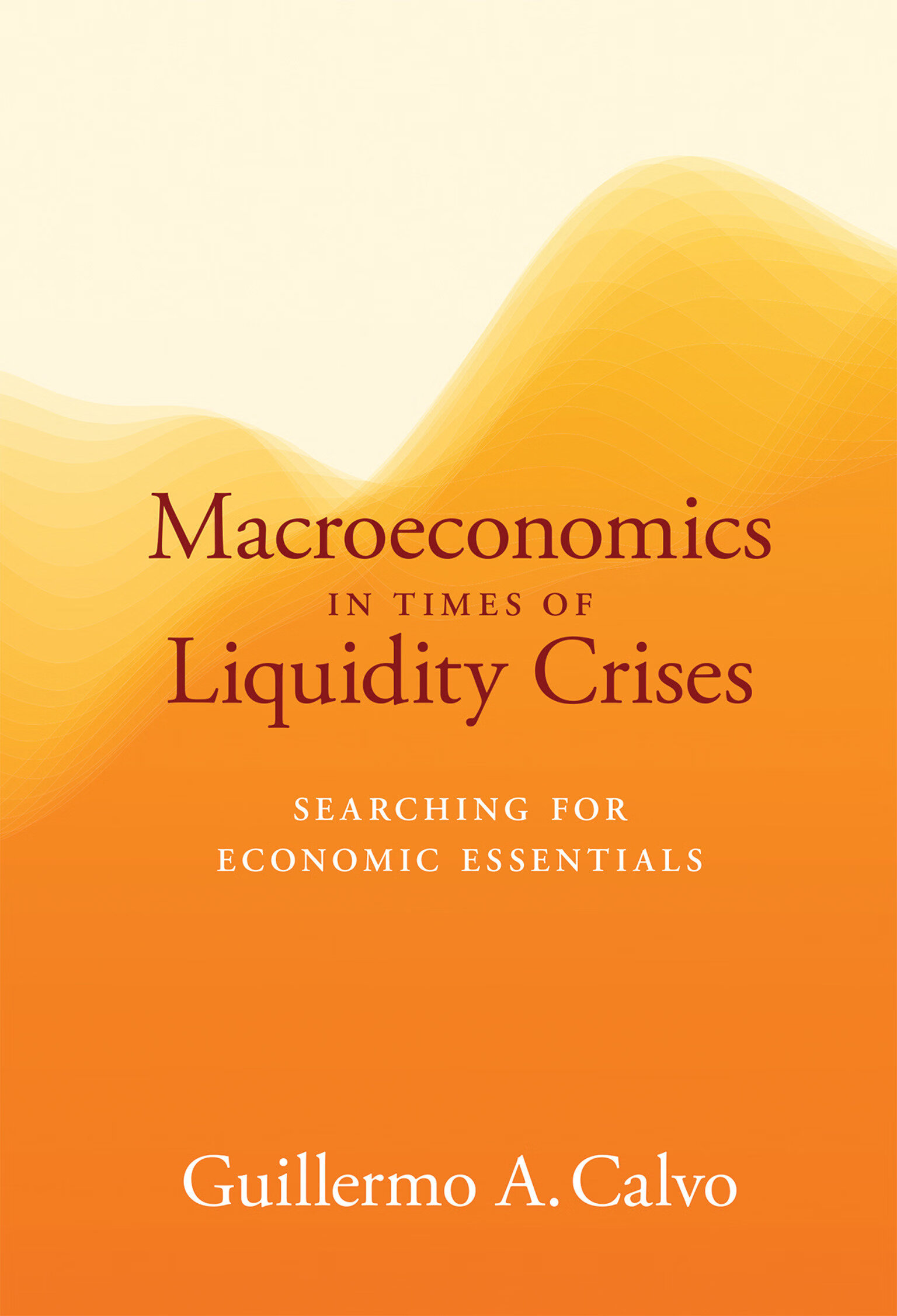 macroeconomics in times of liquidity crises 英文原版 流动性危机