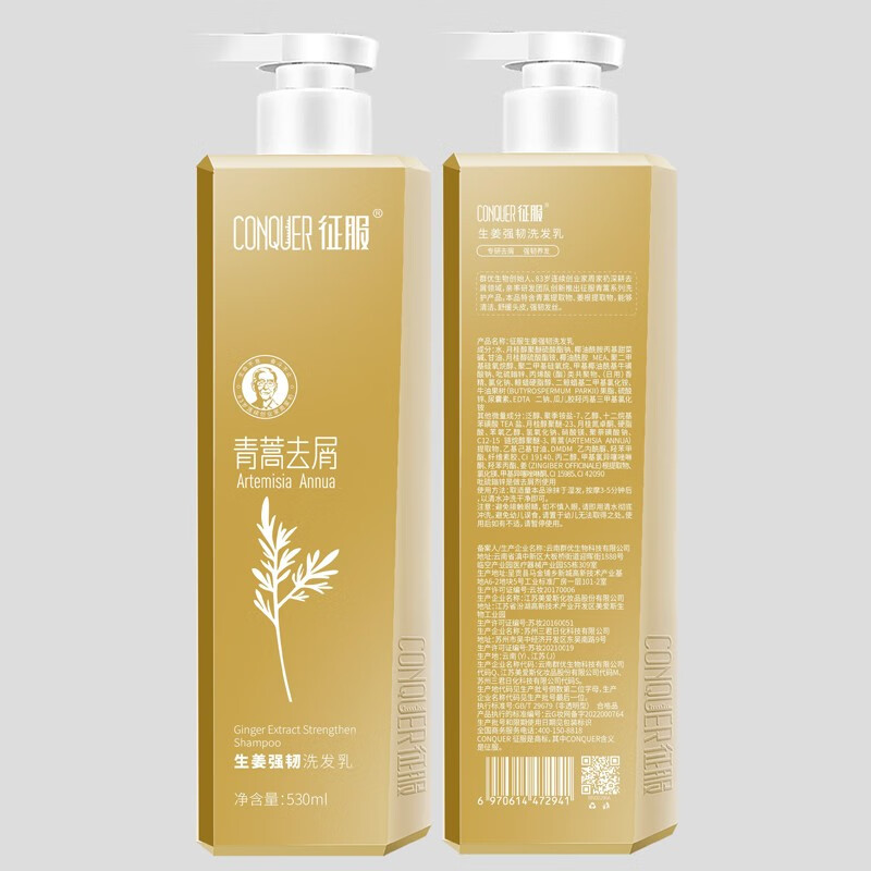 征服青蒿去屑控油洗发水护发素套装洗发乳膏露男女士学生七夕礼物 控油洗发水+生姜洗发水800ml