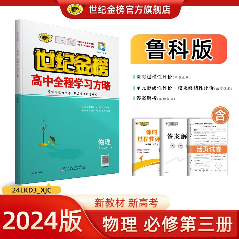 世纪金榜 高中物理必修第三册 2024版高中全程学习方略 新教材高二