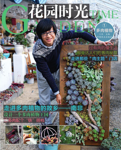 花园时光(多肉植物1)