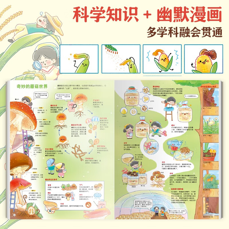 好吃的中国：香喷喷的食育漫画大书 饮食绘本 小猛犸童书(精装) 详情图