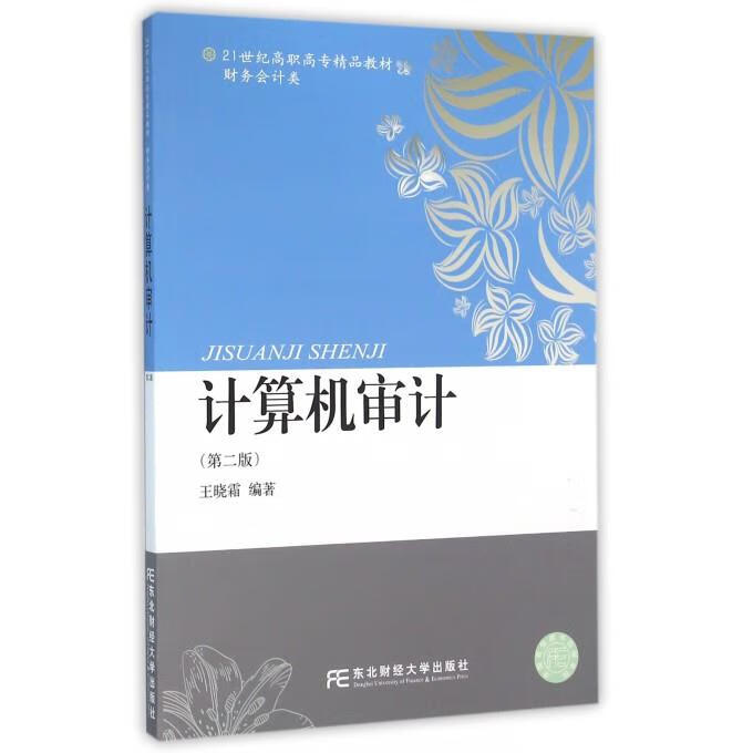计算机审计 王晓霜 正版图书