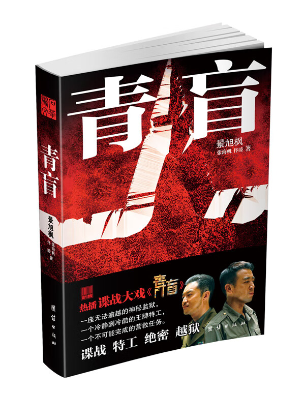 青盲 景旭枫团结出版社