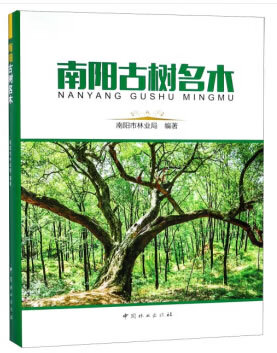 南阳古树名木