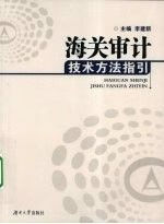 审计技术方法指引